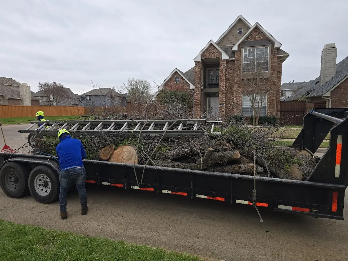Expert Tree Pest Control with proper safety equipment in Trenton